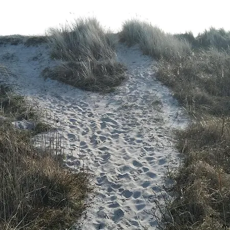 5 Star In Hadsund