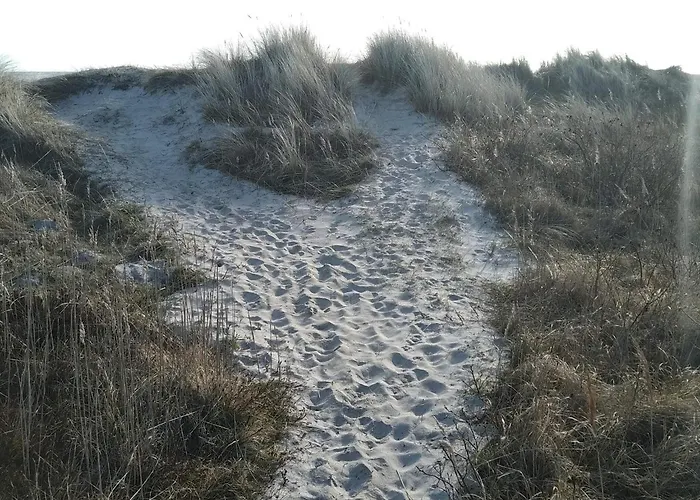 5 Star In Hadsund